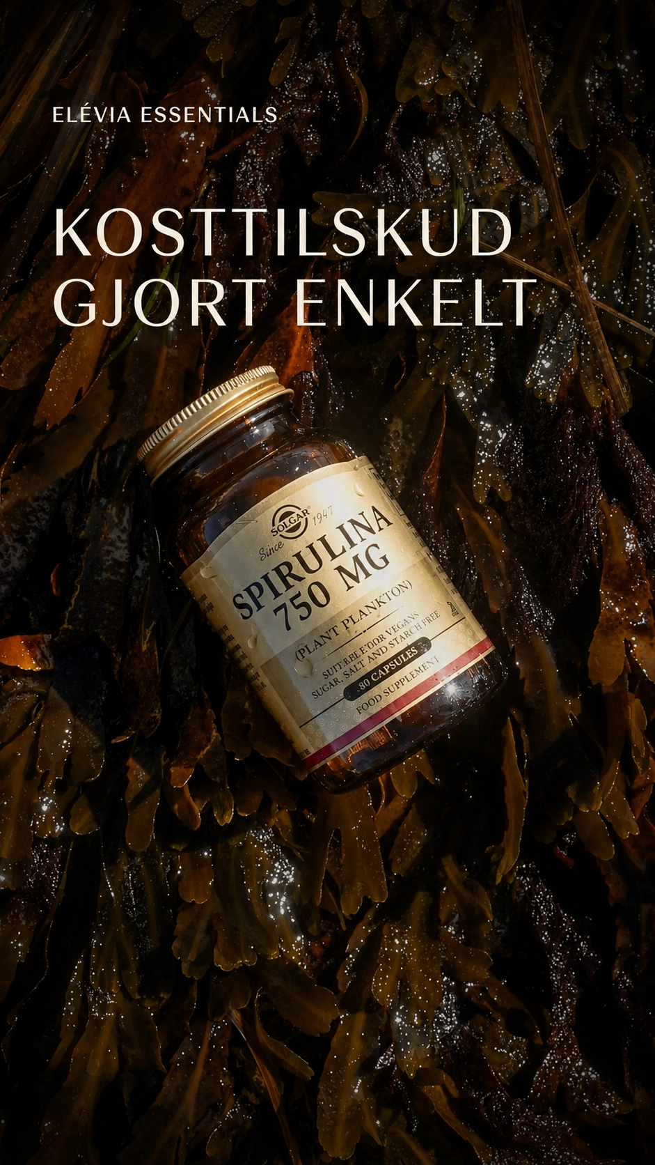 Virksomheds billede